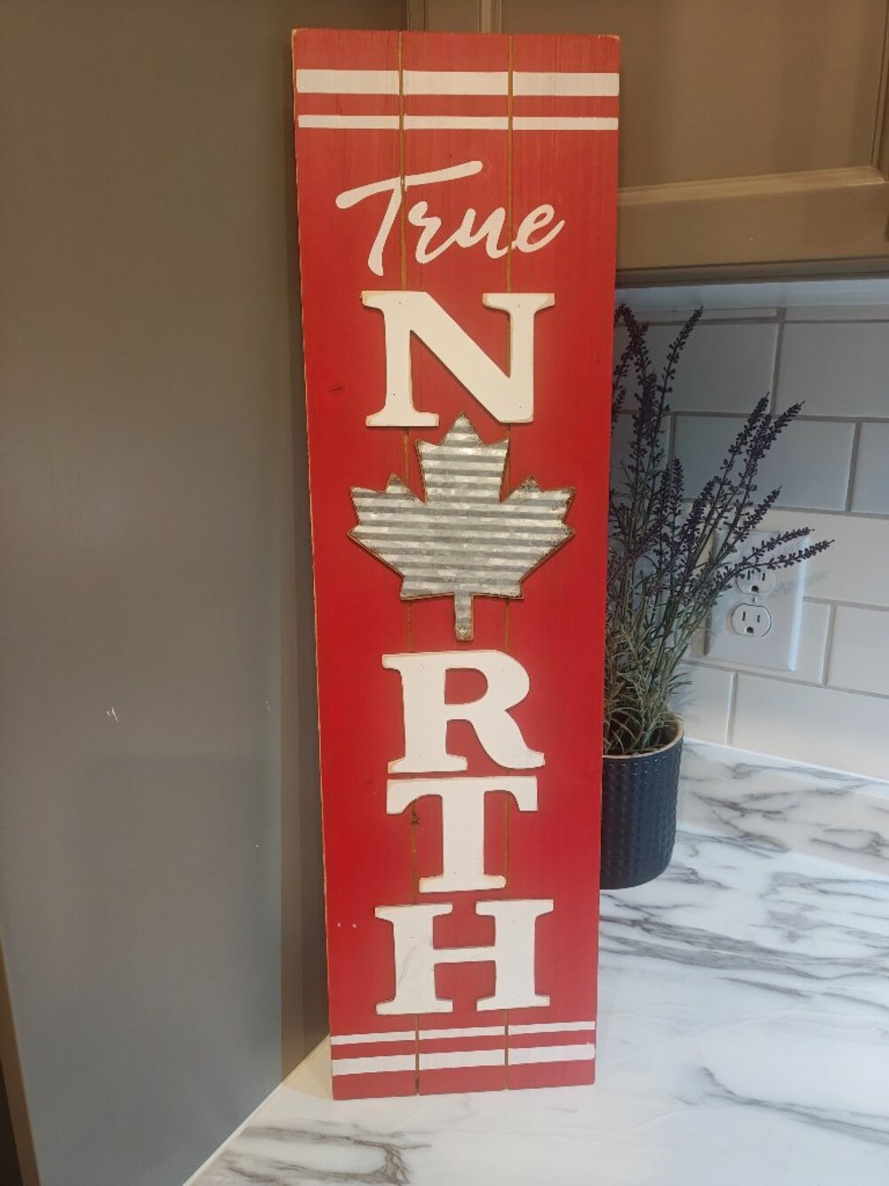 Rustic True North Canada Day Wooden Sign Corrugated Metal Maple Leaf Porch Decor